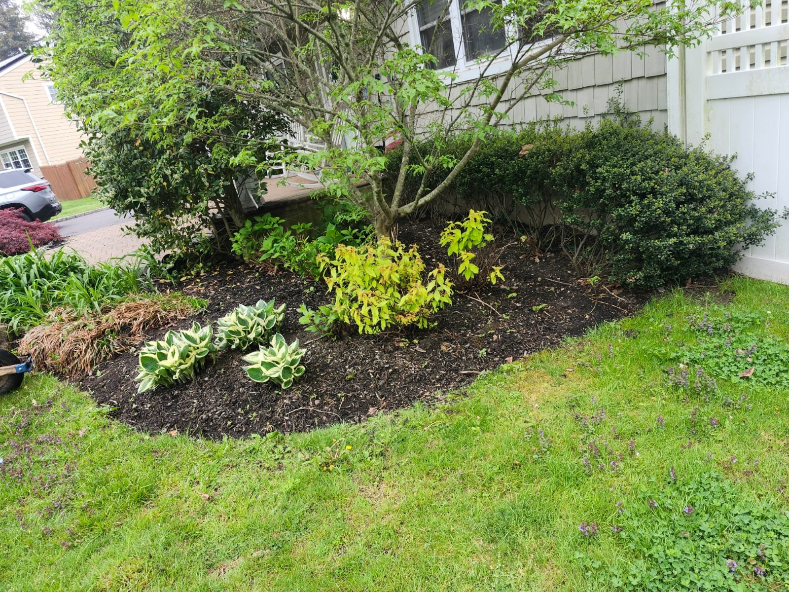 23fdaf00-37ce-48d4-834e-1371d198820b