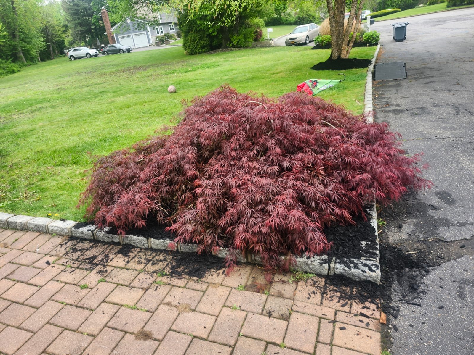 705e139c-3c70-41ec-8033-1b53c9497c87