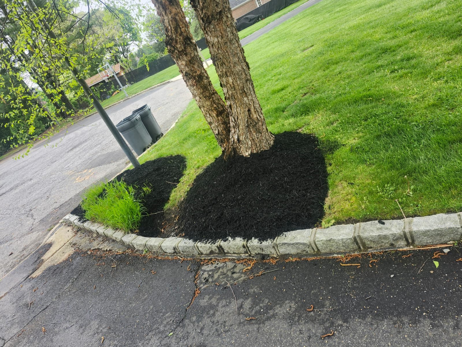 e14af070-74b3-437d-b4aa-1e329c82e63d